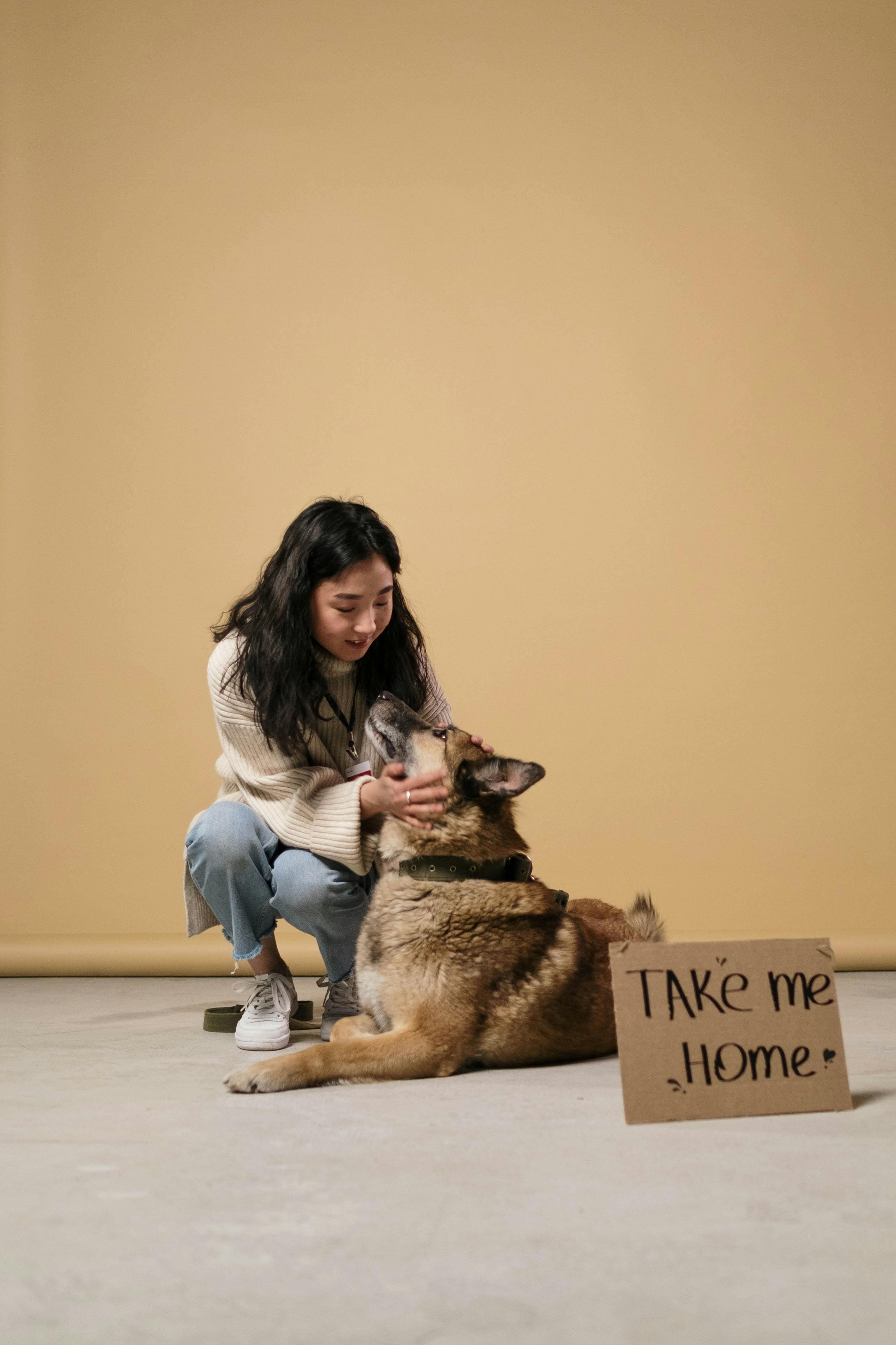A volunteer and a dog