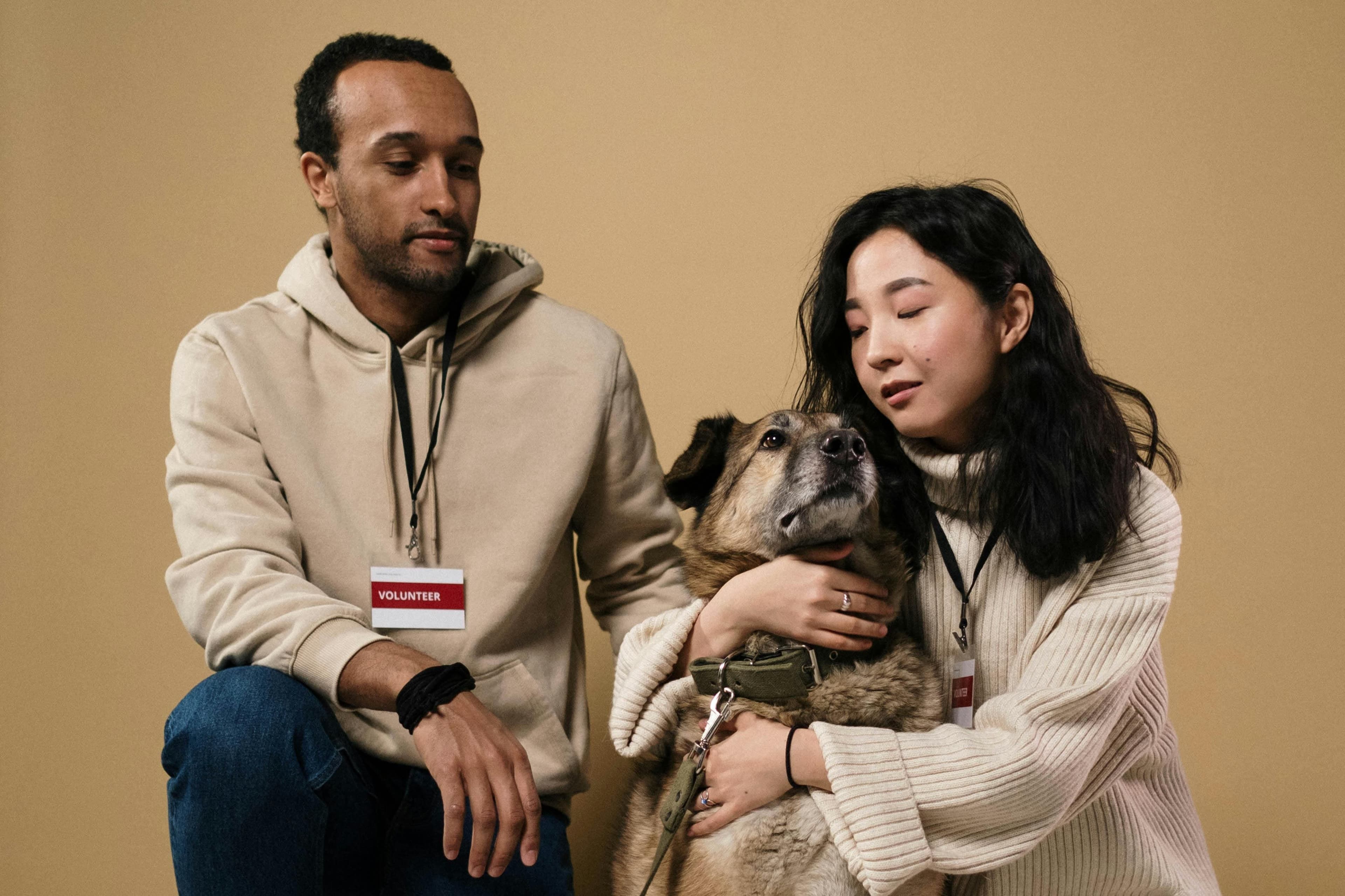 Volunteers and a dog