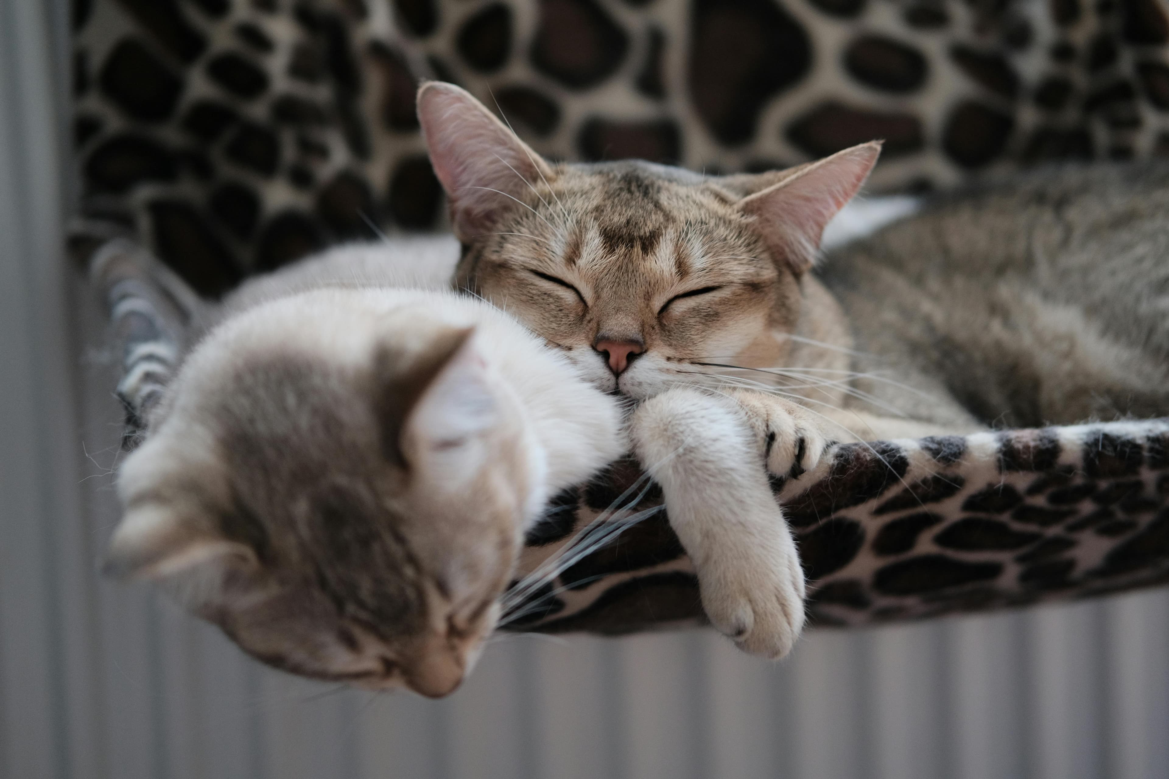 Warm fabrics and bedding
